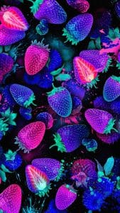 Blue Strawberries iPhone Wallpaper