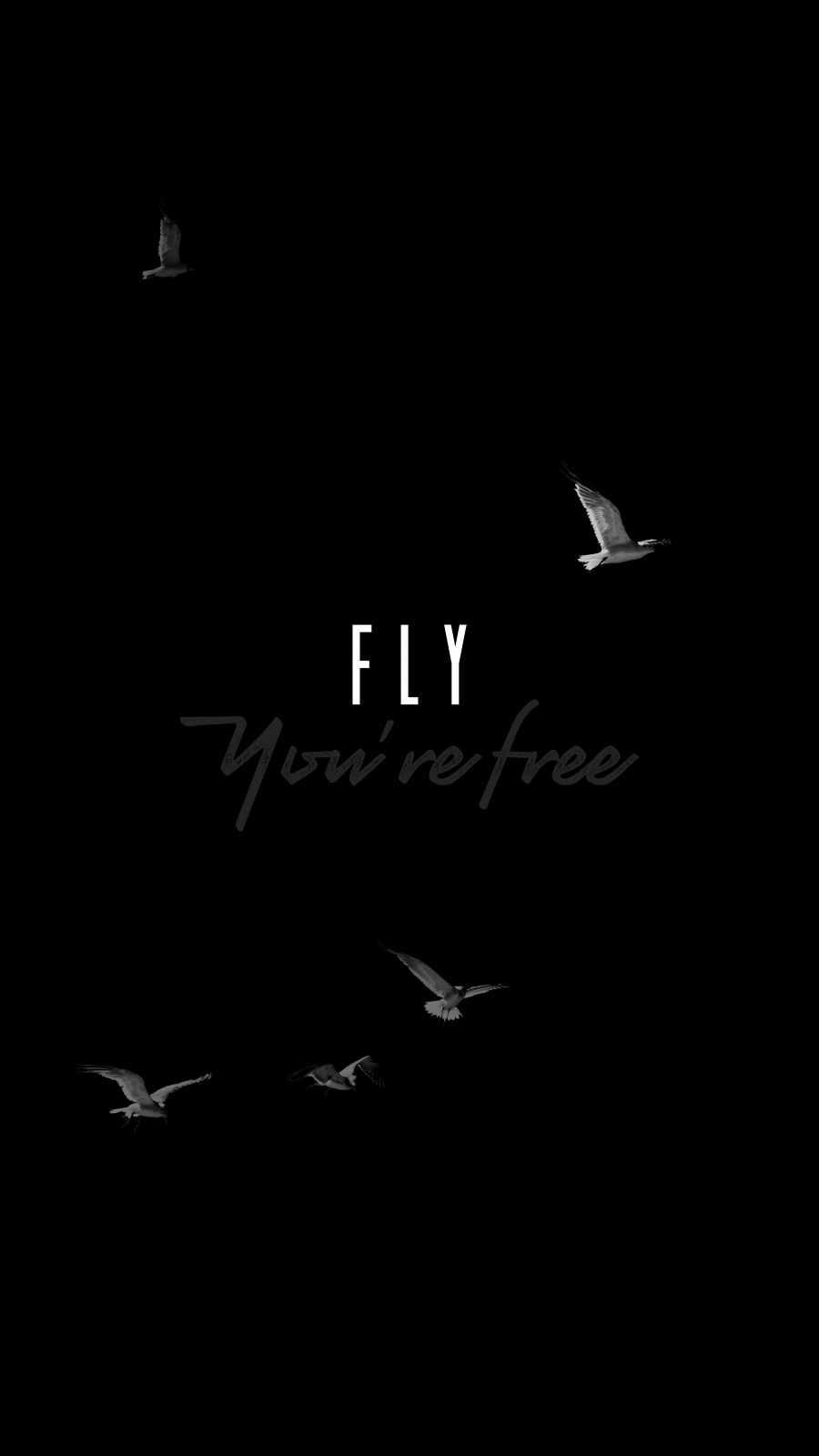 Fly You Are Free iPhone Wallpaper