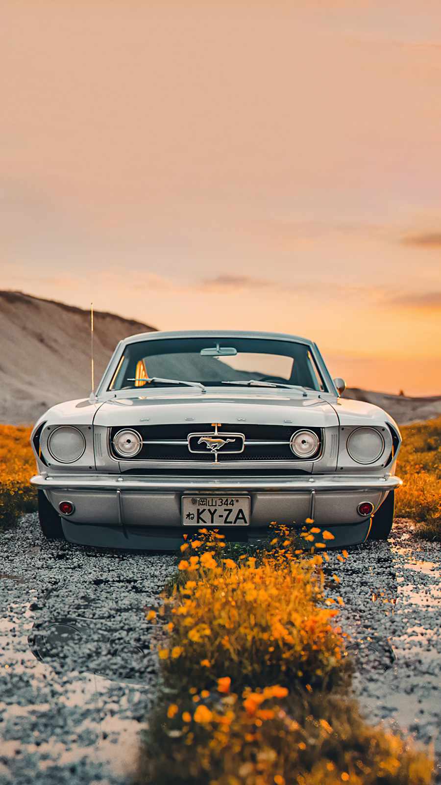 Ford mustang bbs motorsport iPhone Wallpaper