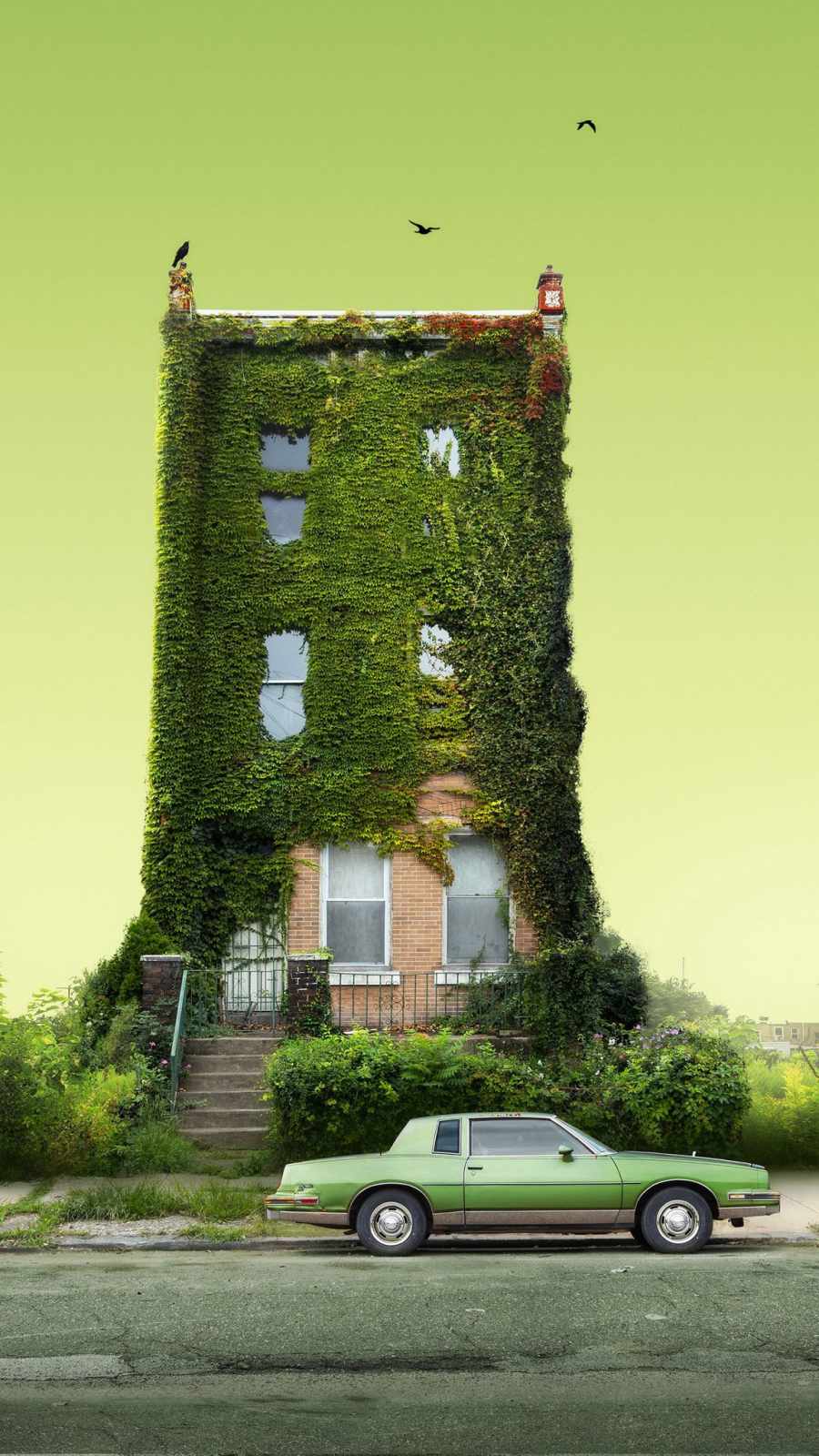Green House iPhone Wallpaper