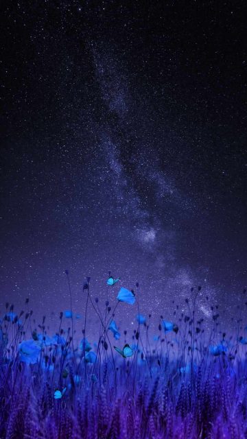 Nature in Space iPhone Wallpaper