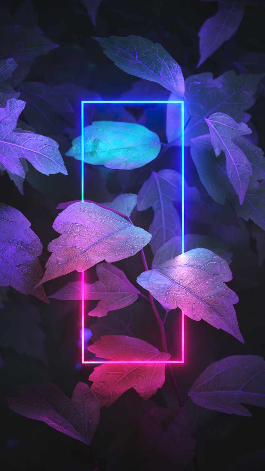 Neon Light Plants Foliage iPhone Wallpaper