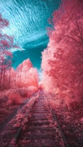 Old Rail Road iPhone Wallpaper