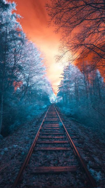 Old Railroad Tracks iPhone Wallpaper