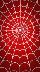 Spider Web iPhone Wallpaper
