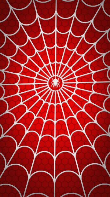 Spider Web iPhone Wallpaper