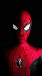 Spiderman self portrait iPhone Wallpaper