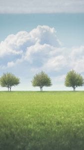 We stand together iPhone Wallpaper