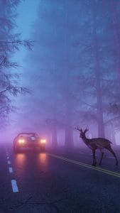 Beware of the deer iPhone Wallpaper