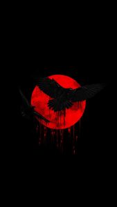 Dark Raven iPhone Wallpaper