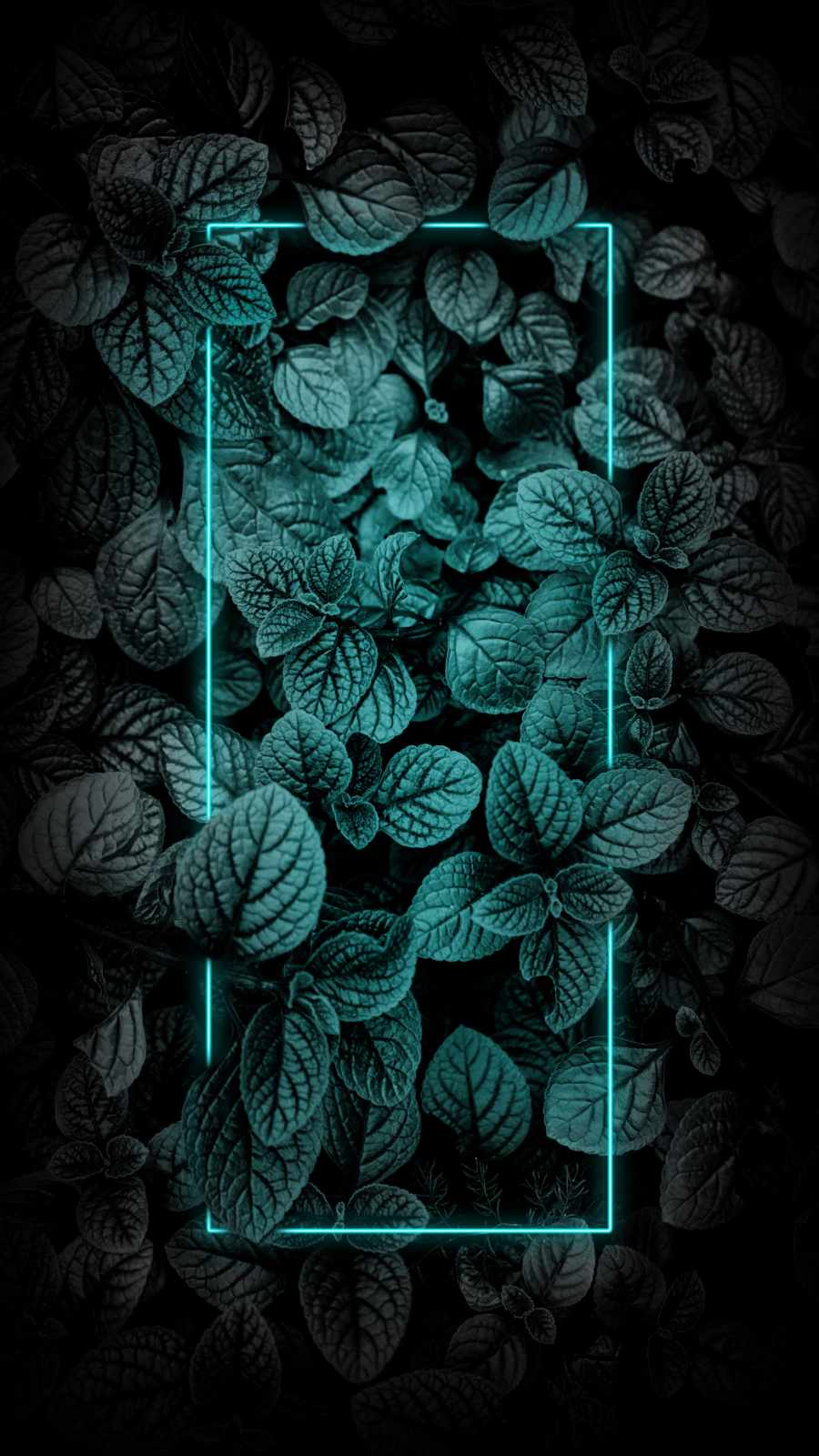 Foliage Neon iPhone Wallpaper
