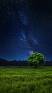 Green Fields Starry Sky iPhone Wallpaper