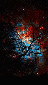 Milky Way Tree iPhone Wallpaper