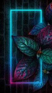 Neon Foliage Plants iPhone Wallpaper