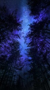 Night Trees Milky Way iPhone Wallpaper
