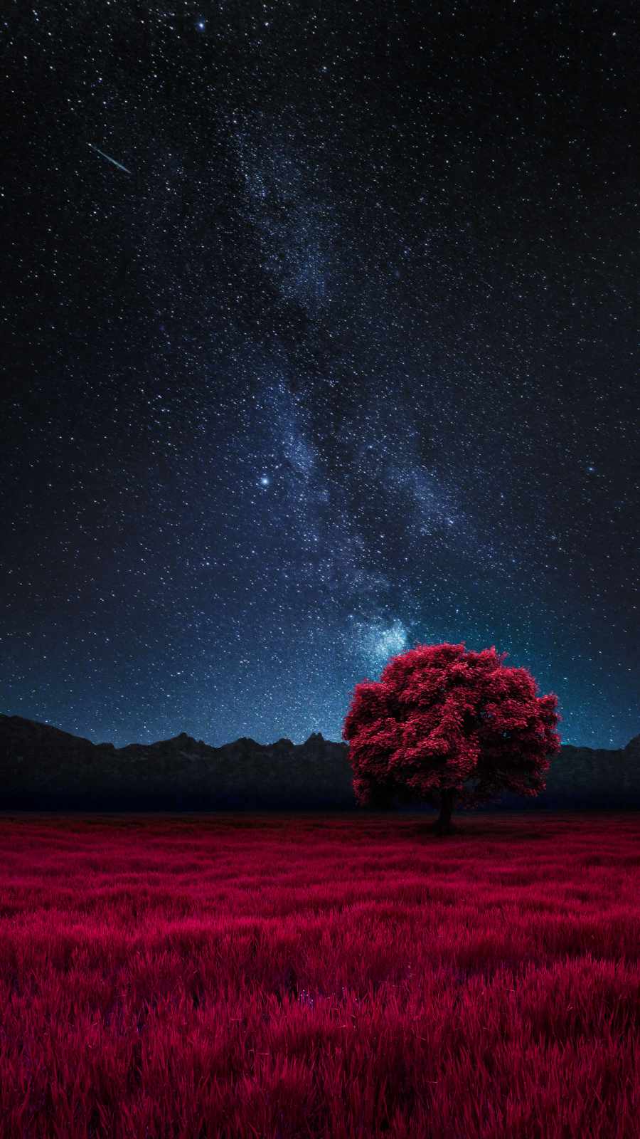 The Red Tree iPhone Wallpaper
