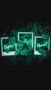 Capture The Moment iPhone Wallpaper