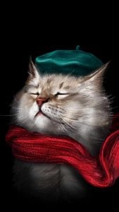 Classy Cat iPhone Wallpaper