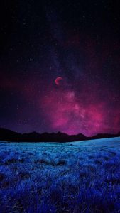 Grass Fields Night Sky Stars iPhone Wallpaper
