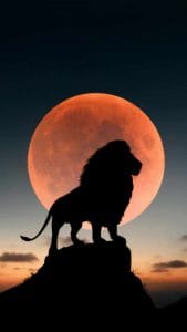 Lion king 5K iPhone Wallpaper