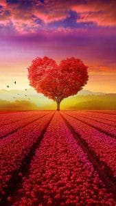 Love Farm iPhone Wallpaper