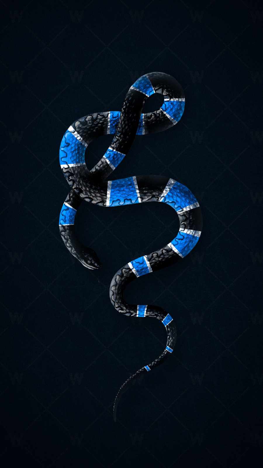 Luxury Snake iPhone Wallpaper