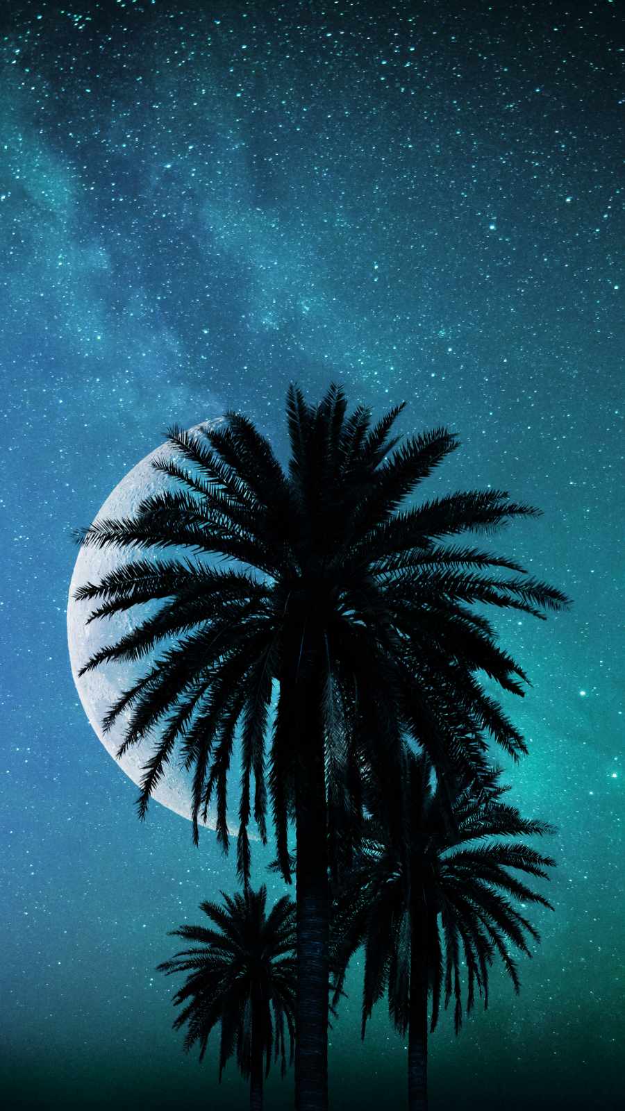 Palm Trees and Moon iPhone Wallpaper