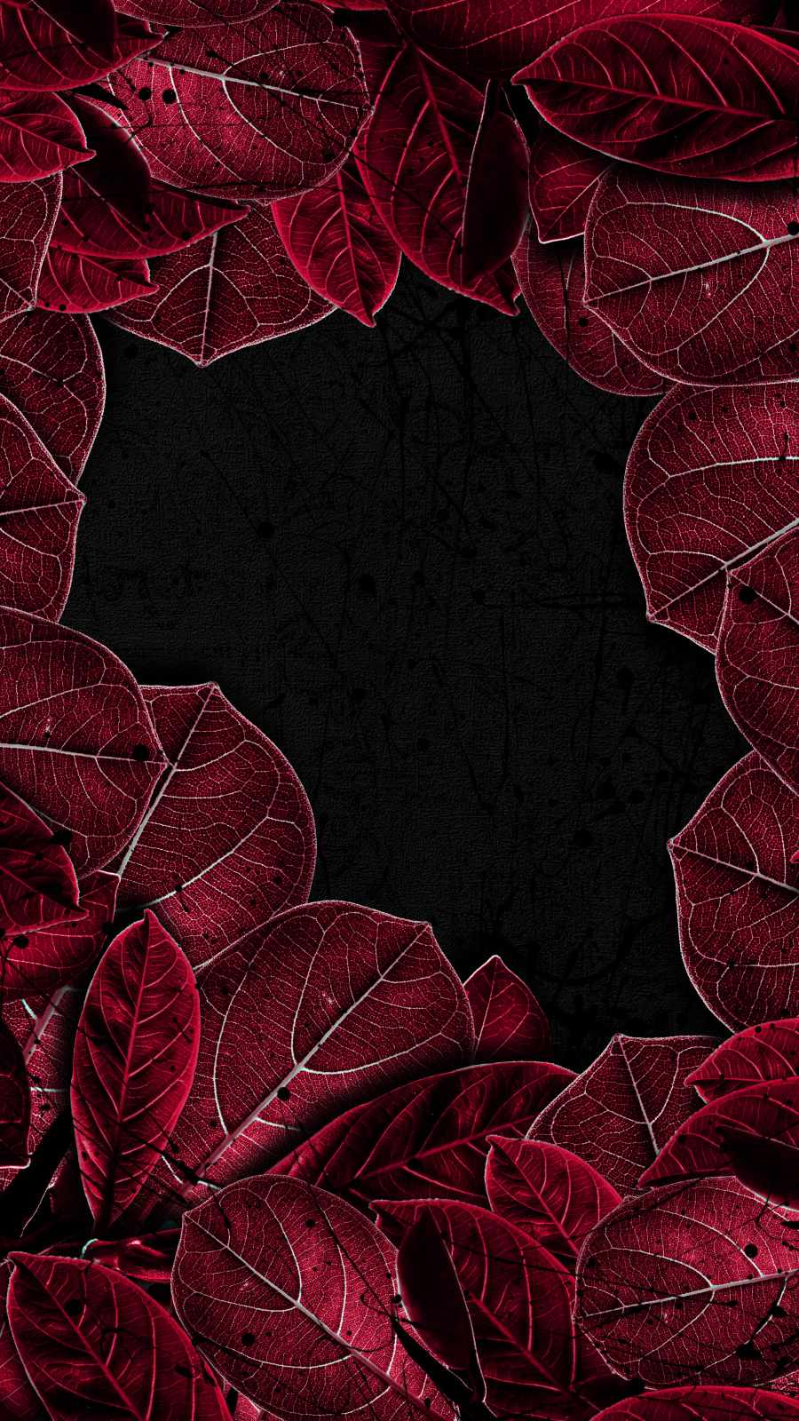 Red Leaves iPhone Wallpaper