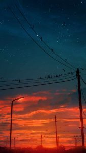 Sunset Birds iPhone Wallpaper