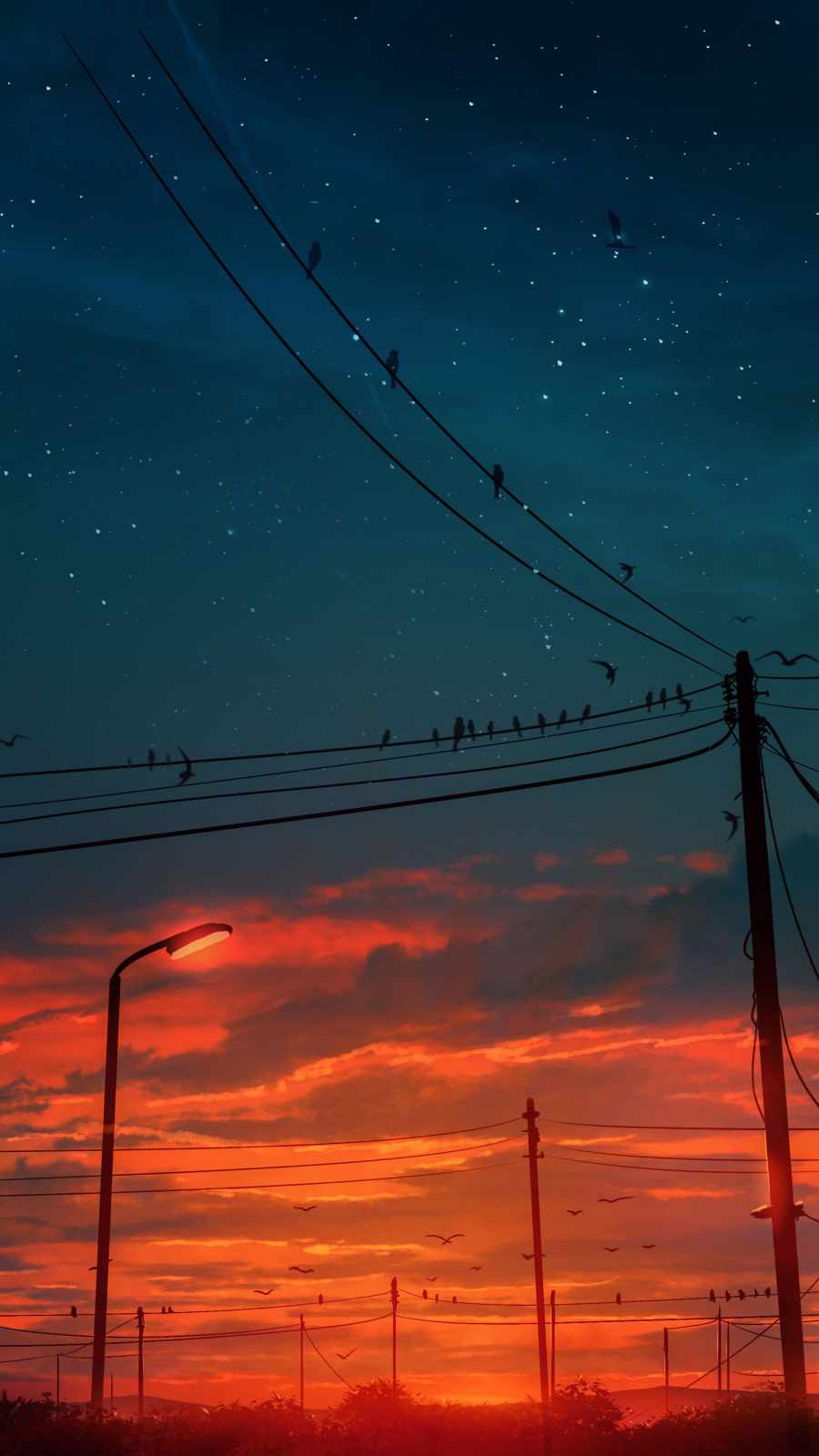 Sunset Birds iPhone Wallpaper