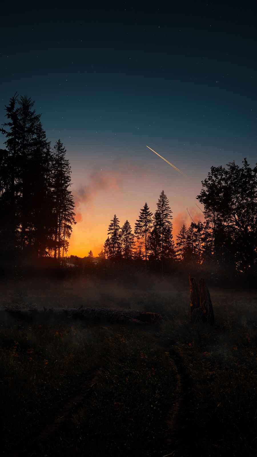 Sunset Nature Forest iPhone Wallpaper