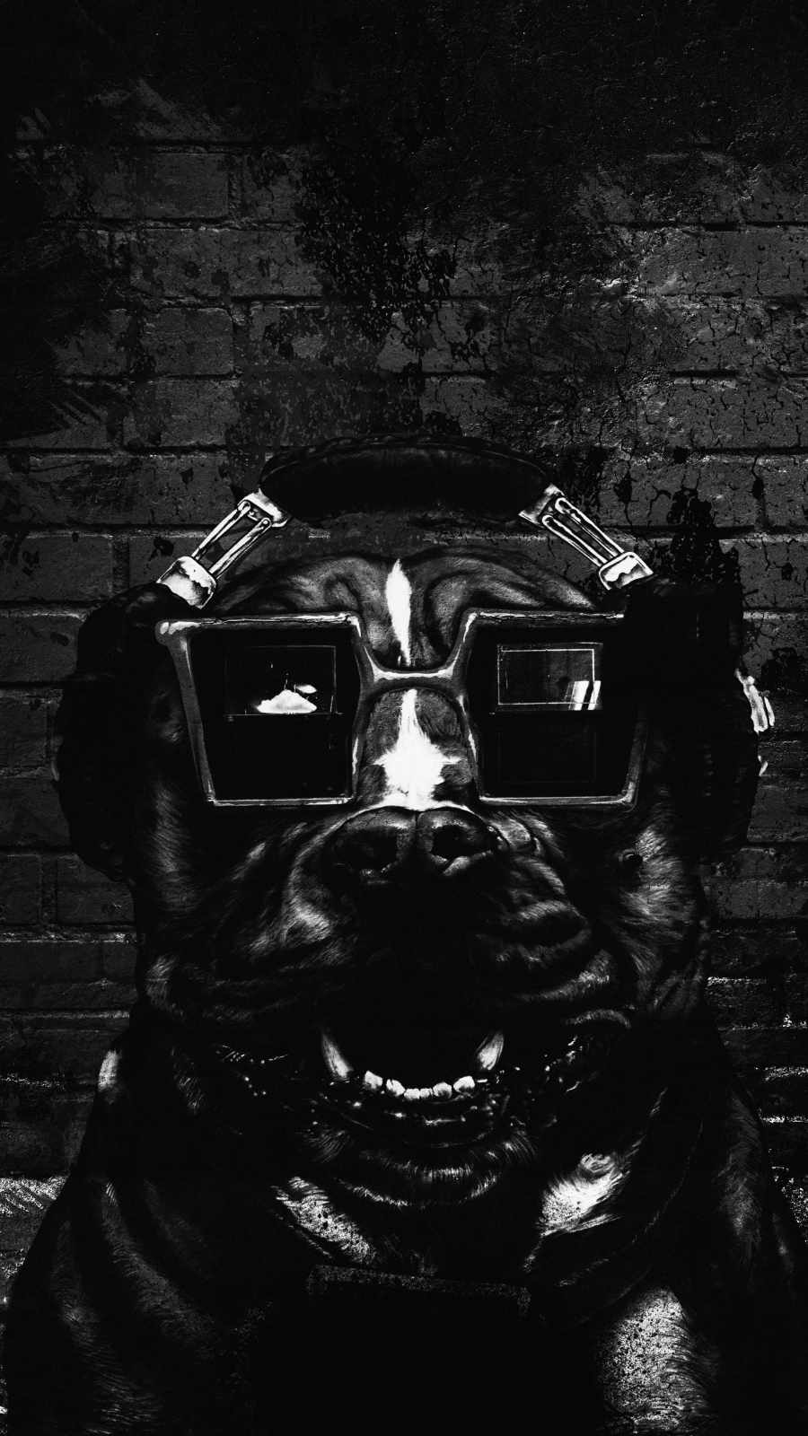 Techno Dog iPhone Wallpaper