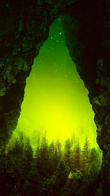 Toxic forest iPhone Wallpaper