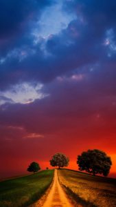 Cloudy Grass Fields iPhone Wallpaper