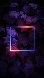 Dark Foliage Neon iPhone Wallpaper