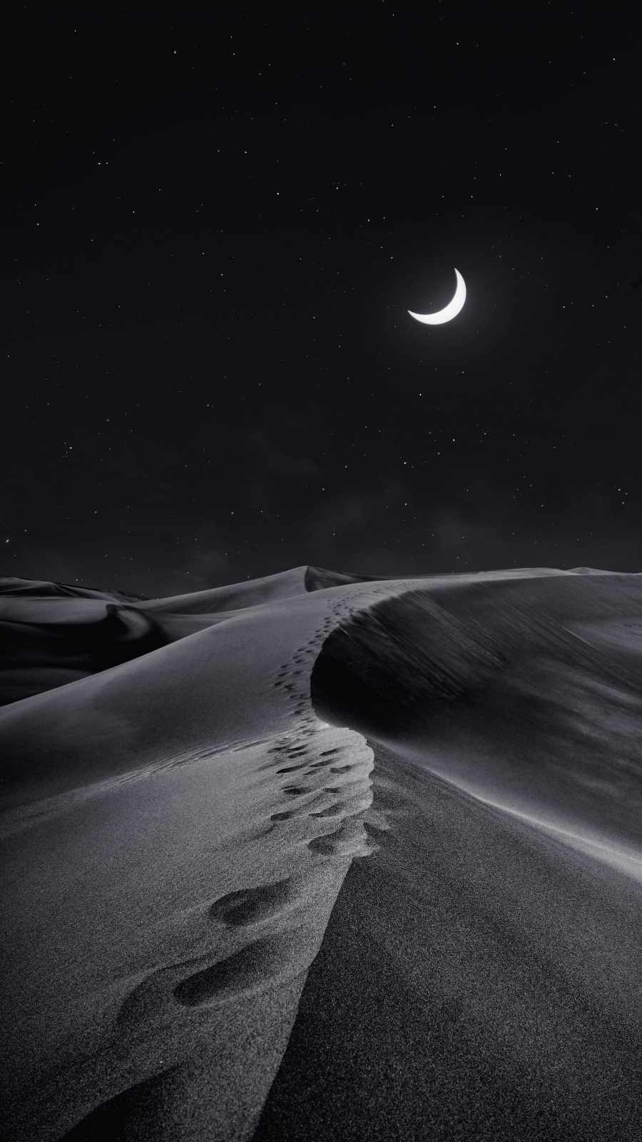 Desert Night iPhone 13 Wallpaper