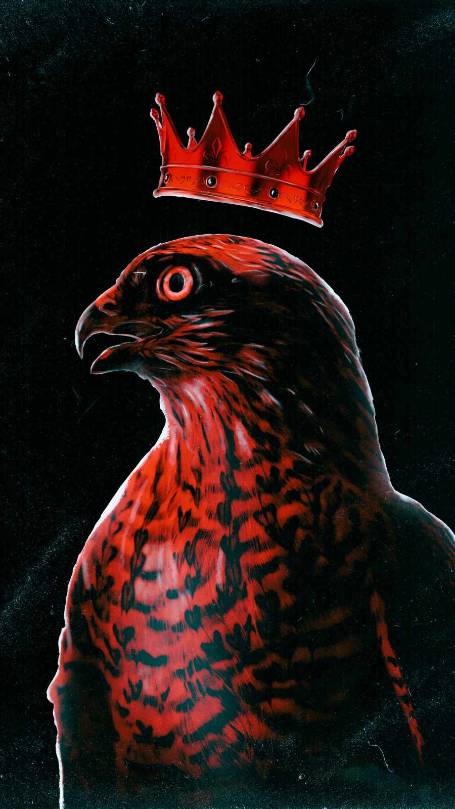 Eagle King iPhone 13 Wallpaper