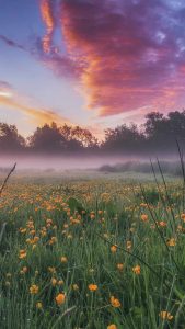 England Nature iPhone Wallpaper