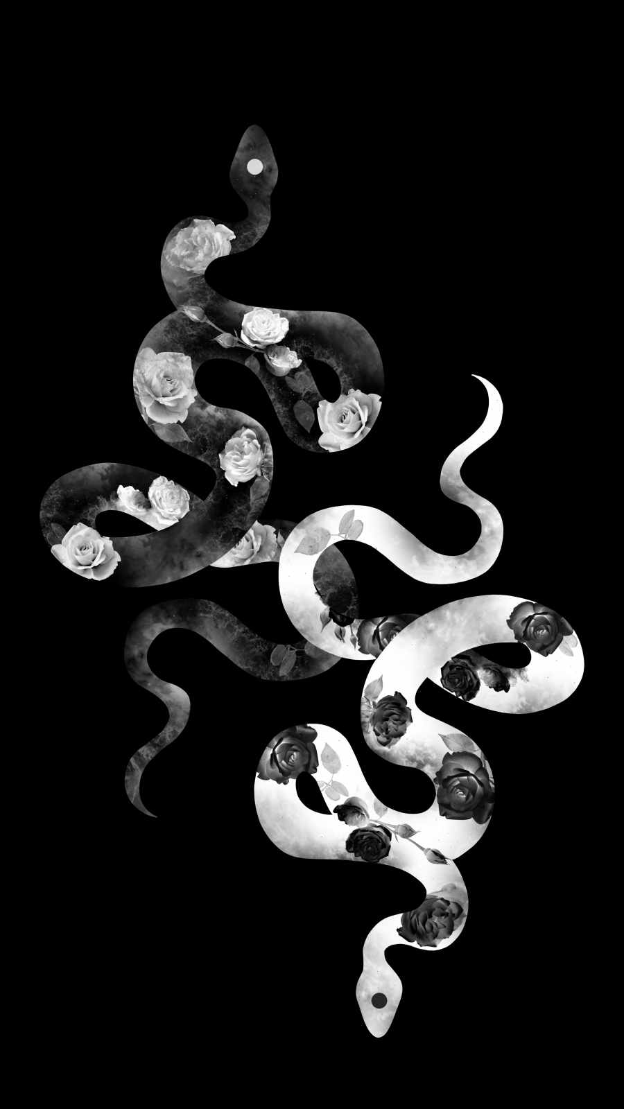 Floral Snake iPhone Wallpaper