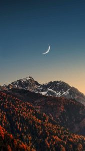 Forest and Moon iPhone 13 Wallpaper