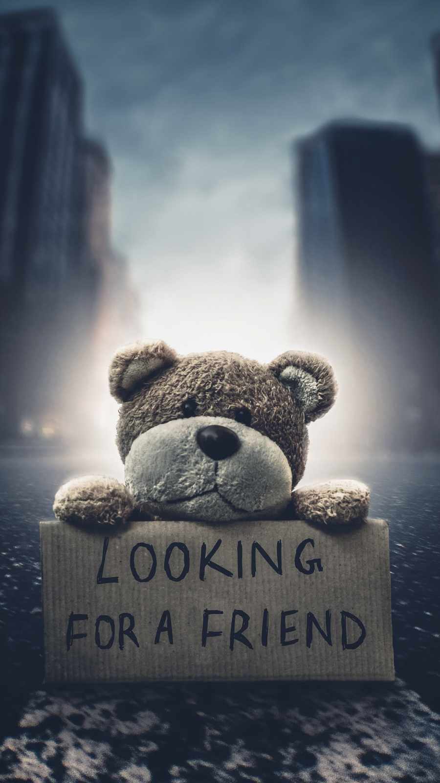 Lonely Teddy 4K iPhone Wallpaper
