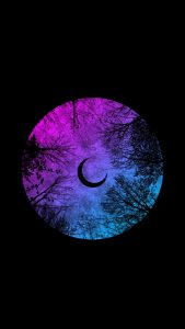 Moon Tree Shadow iPhone Wallpaper