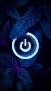 Nature Button iPhone 13 Wallpaper