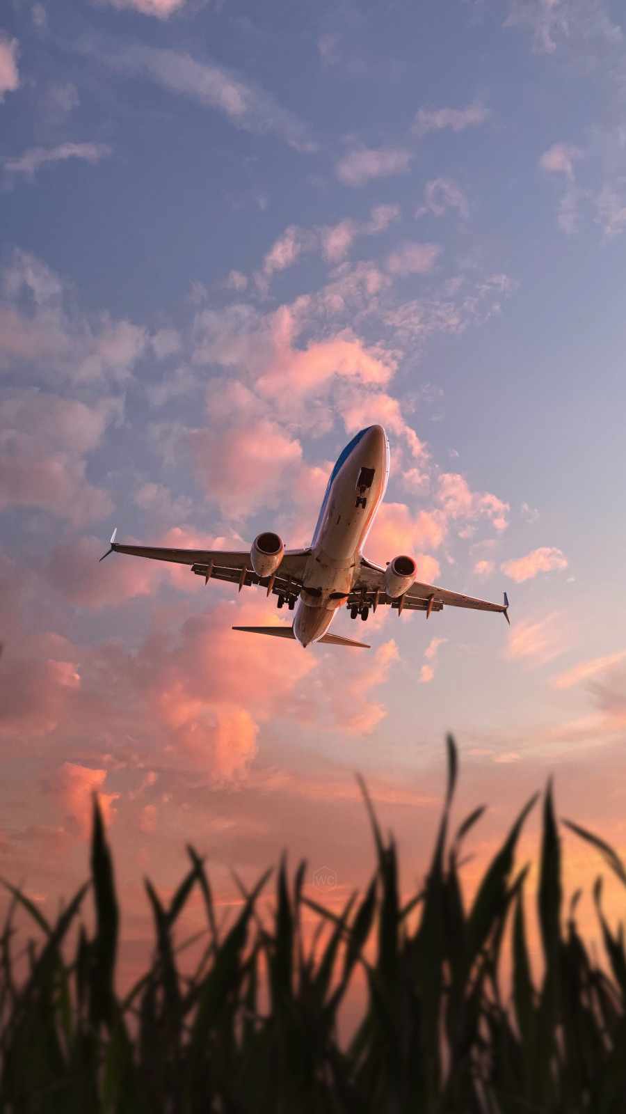 Plane Nearby iPhone Wallpaper