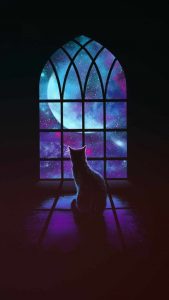 Cat looking outside window iPhone Wallpaper HD