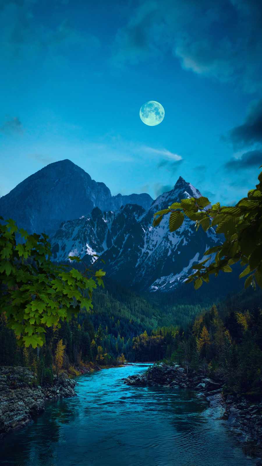 Green Forest Moon iPhone Wallpaper HD