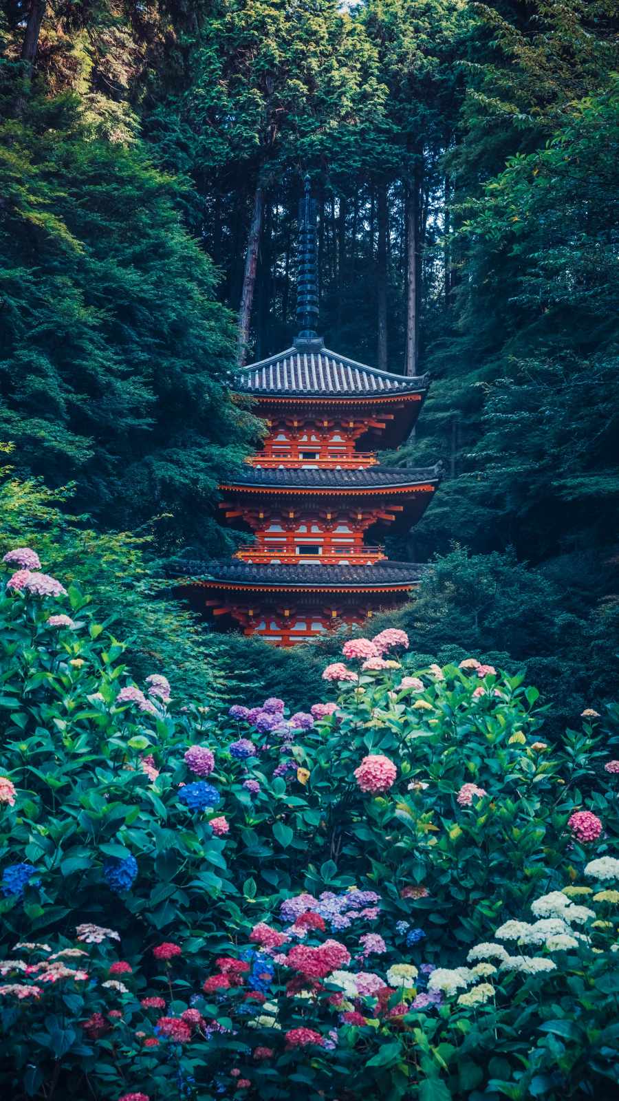 Japanease Temple in Forest iPhone Wallpaper HD