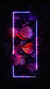 Neon Foliage Leaves iPhone Wallpaper HD