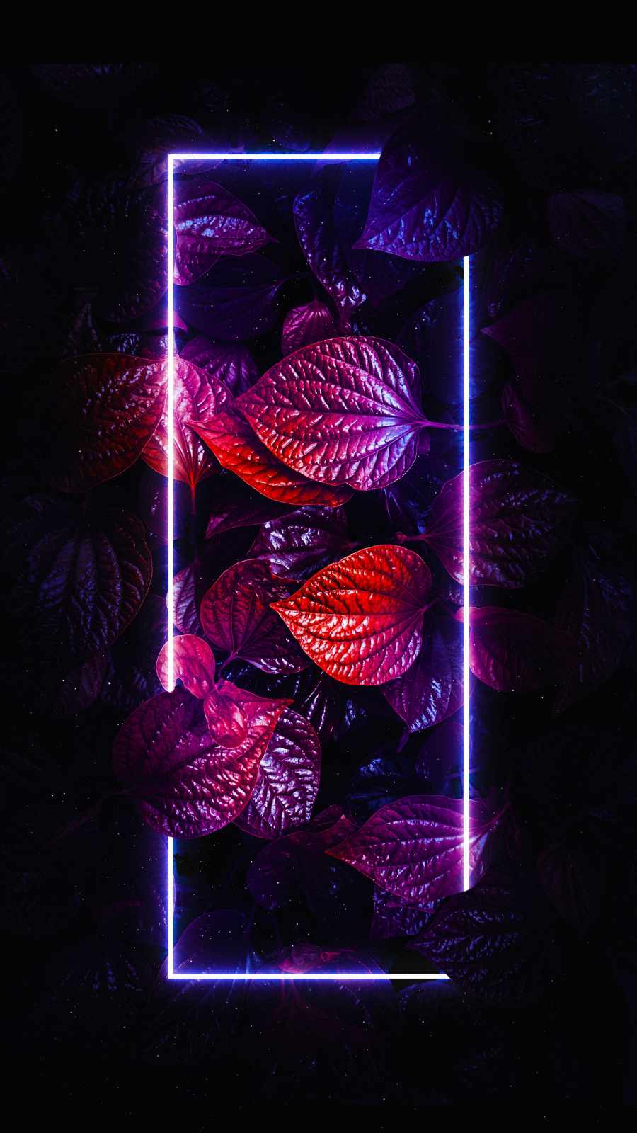 Neon Foliage Leaves iPhone Wallpaper HD