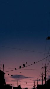 Night Creature iPhone Wallpaper HD